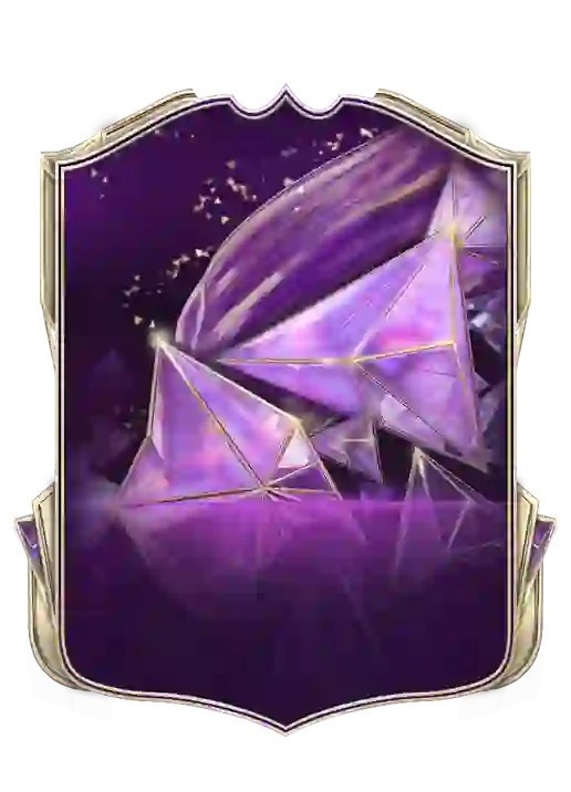  TOTS Hoogtepunten card