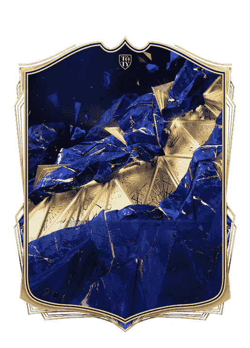  Team of the Year card