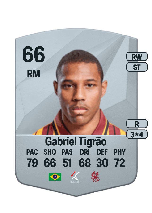 Gabriel Tigrão card
