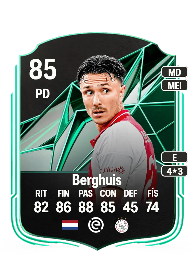 Steven Berghuis card