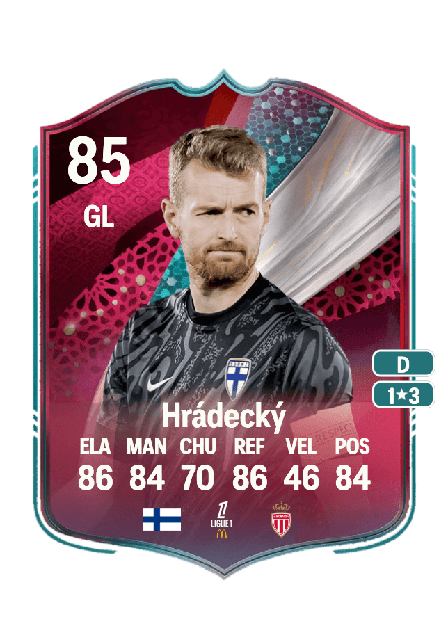 Lukáš Hrádecký card