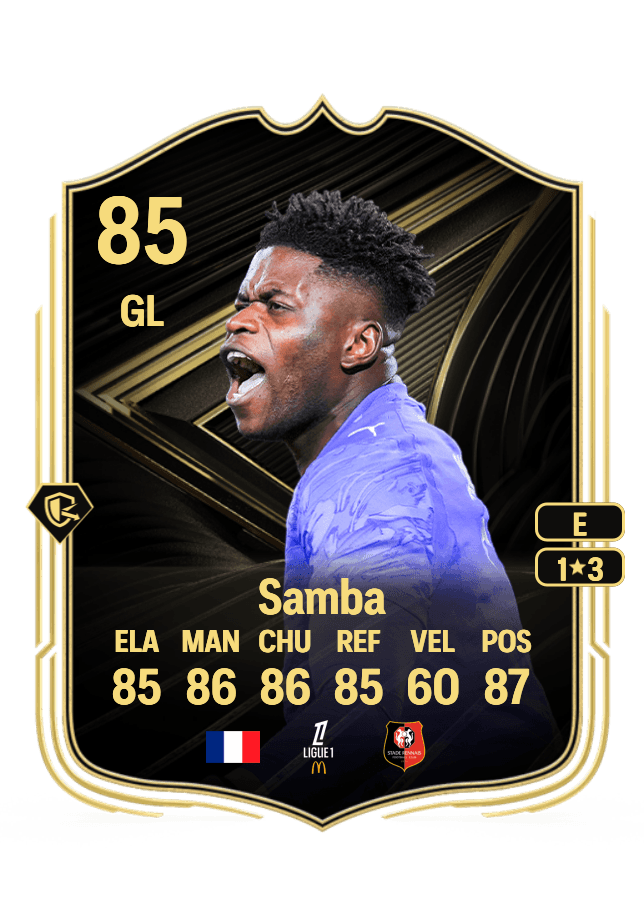 Brice Samba card