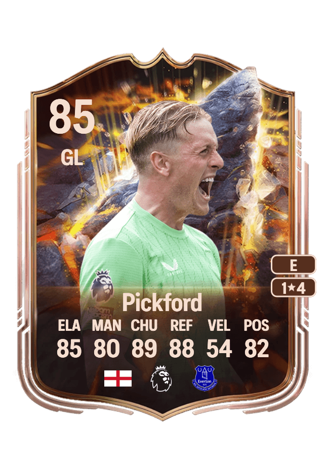 Jordan Pickford card