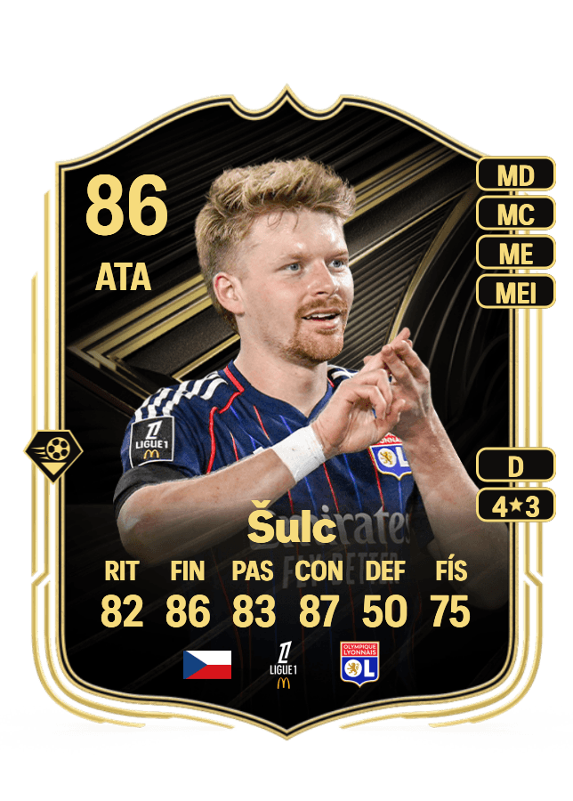 Pavel Šulc card