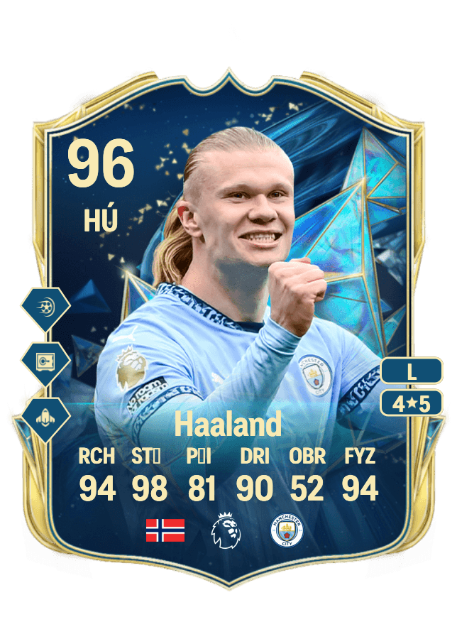 Erling Haaland card