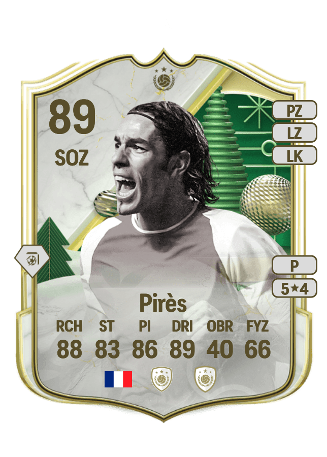 Robert Pirès card