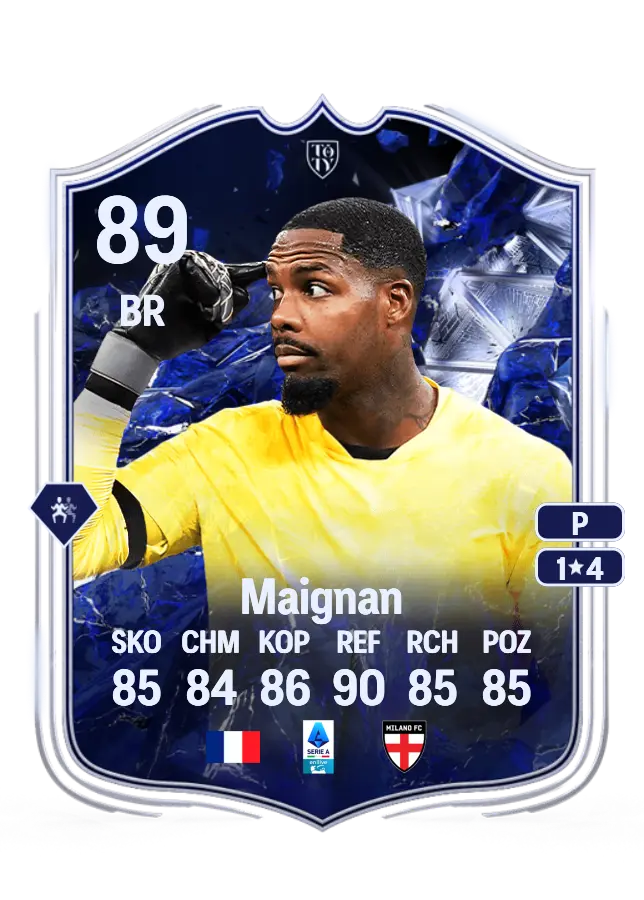 Mike Maignan card