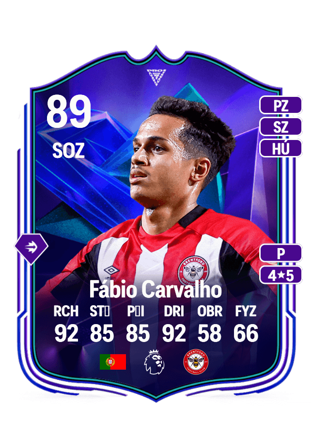 Fábio Carvalho card
