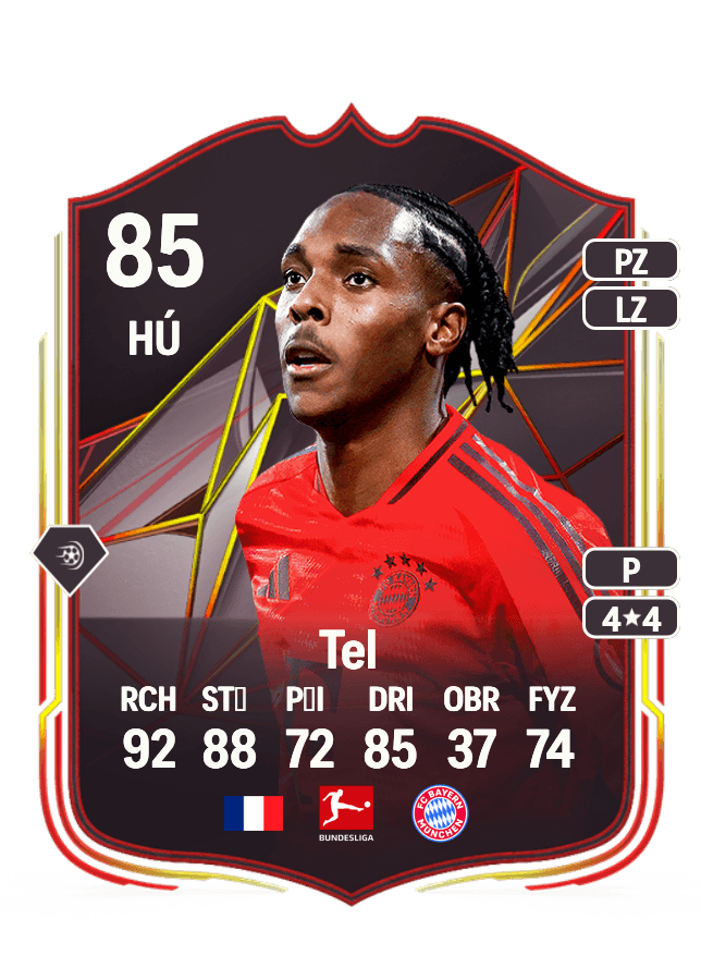 Mathys Tel card