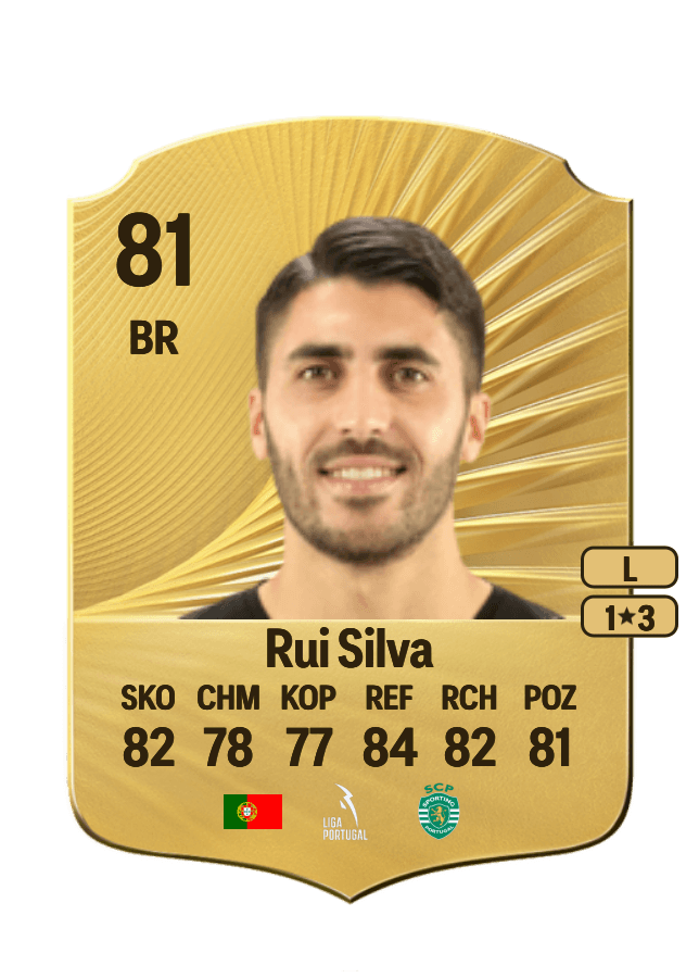 Rui Silva card