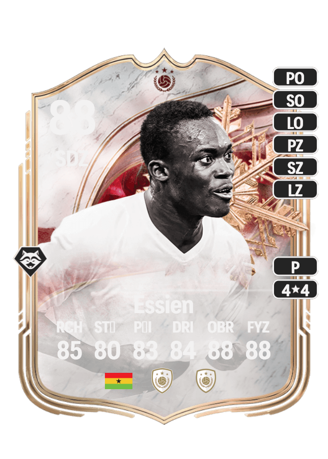 Michaël Essien card