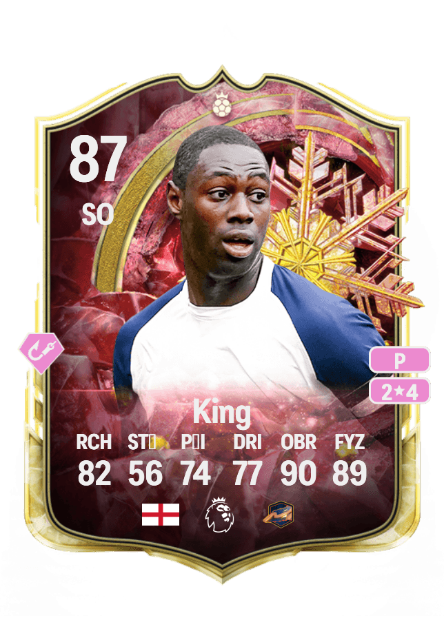 Ledley King card