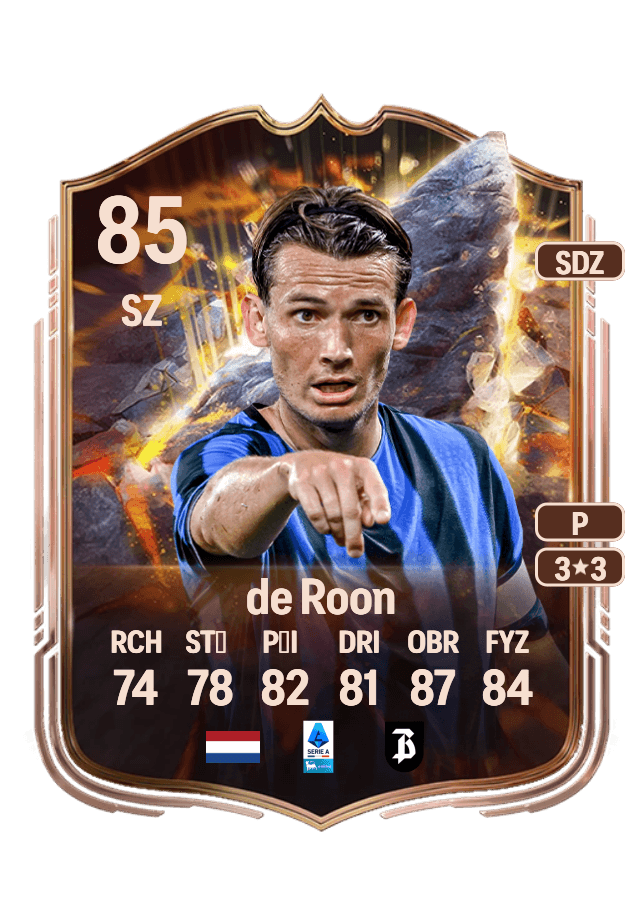 Marten de Roon card