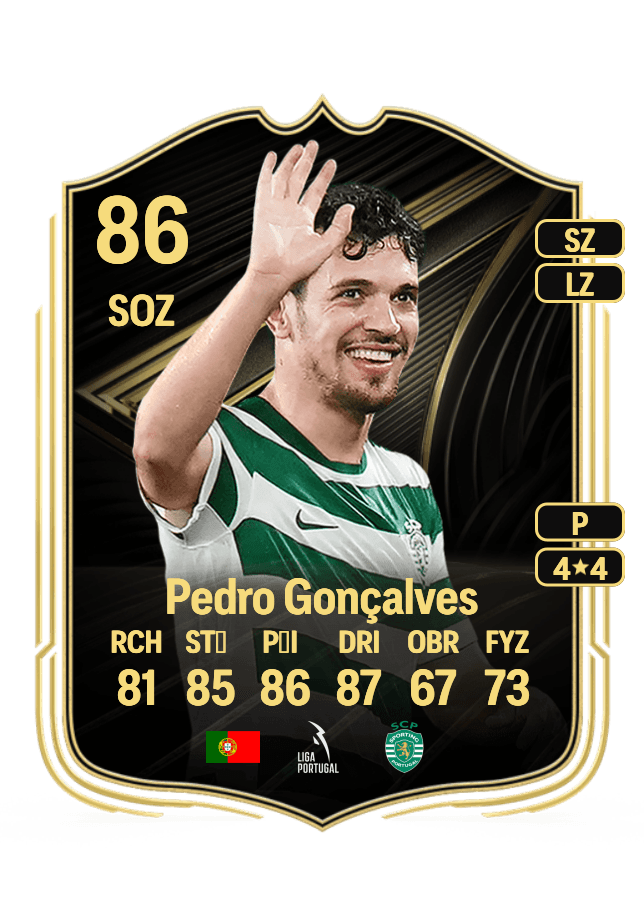 Pedro Gonçalves card