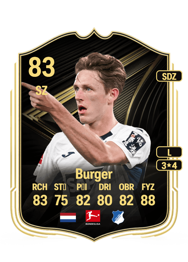 Wouter Burger card