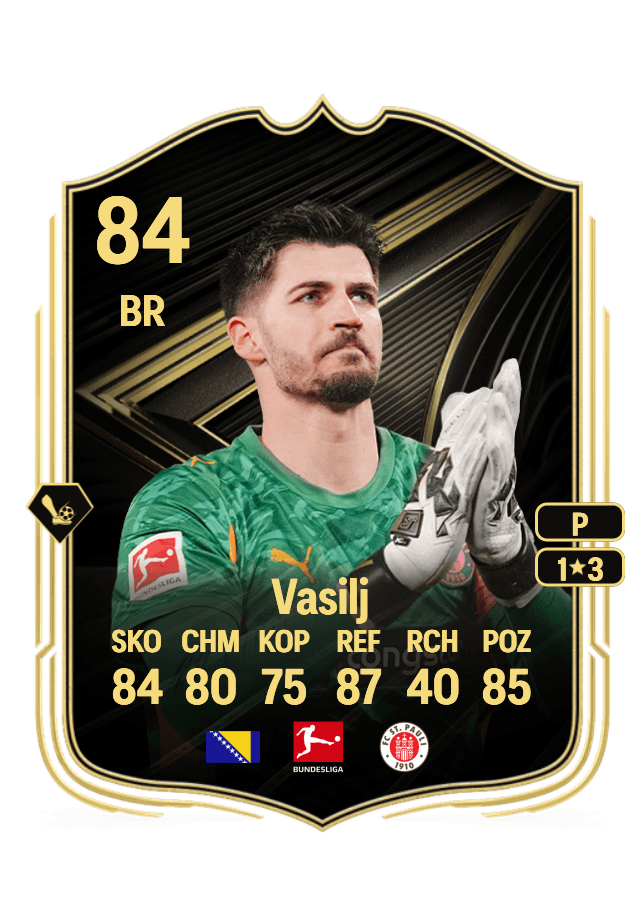 Nikola Vasilj card