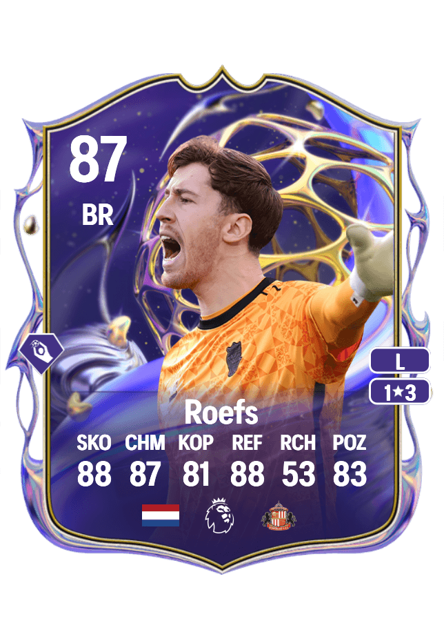 Robin Roefs card