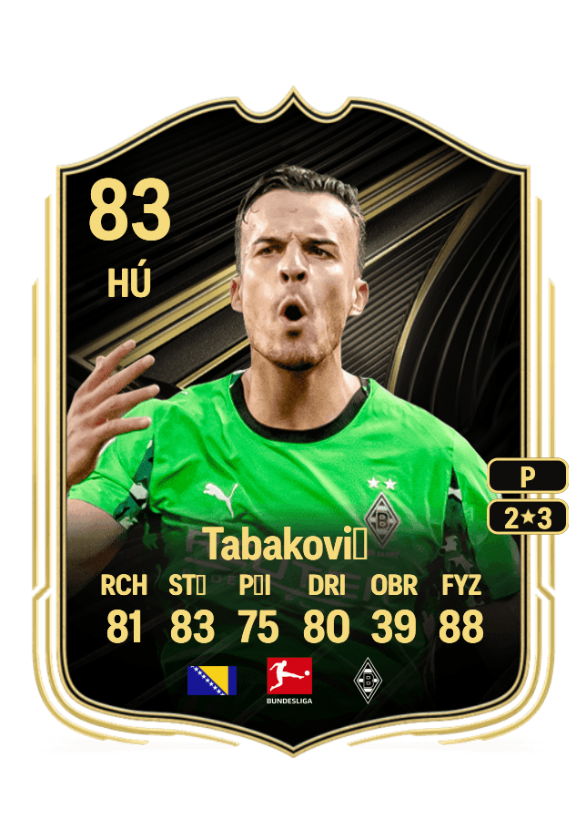 Haris Tabaković card