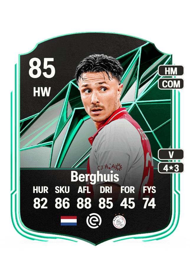 Steven Berghuis card