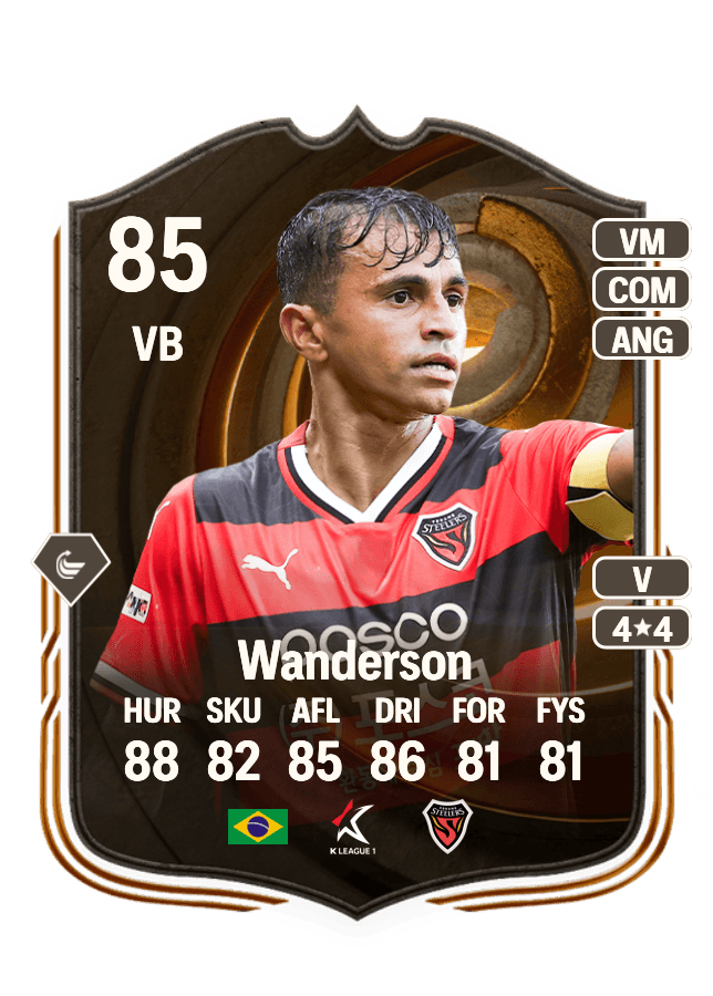 Wanderson card
