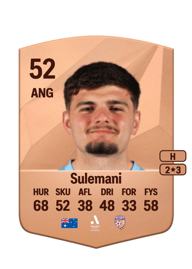 Arion Sulemani card
