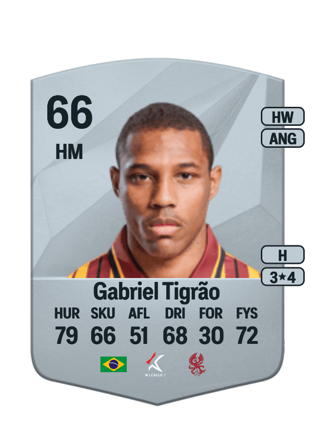 Gabriel Tigrão card