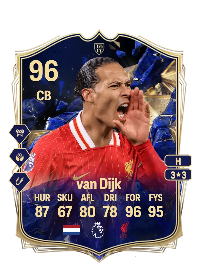 Virgil van Dijk card
