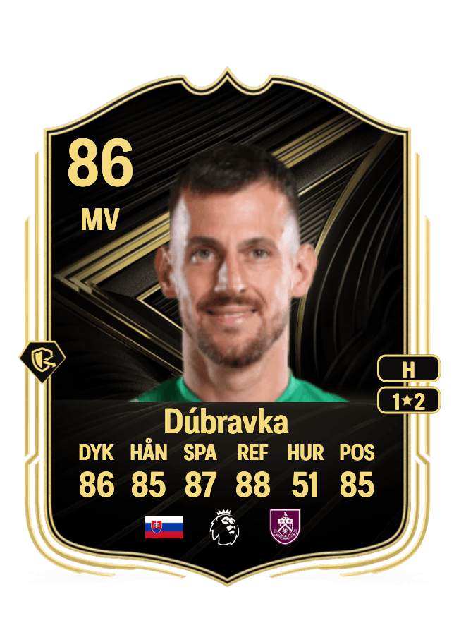 Martin Dúbravka card