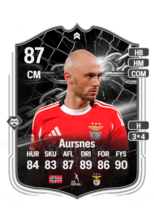 Fredrik Aursnes card