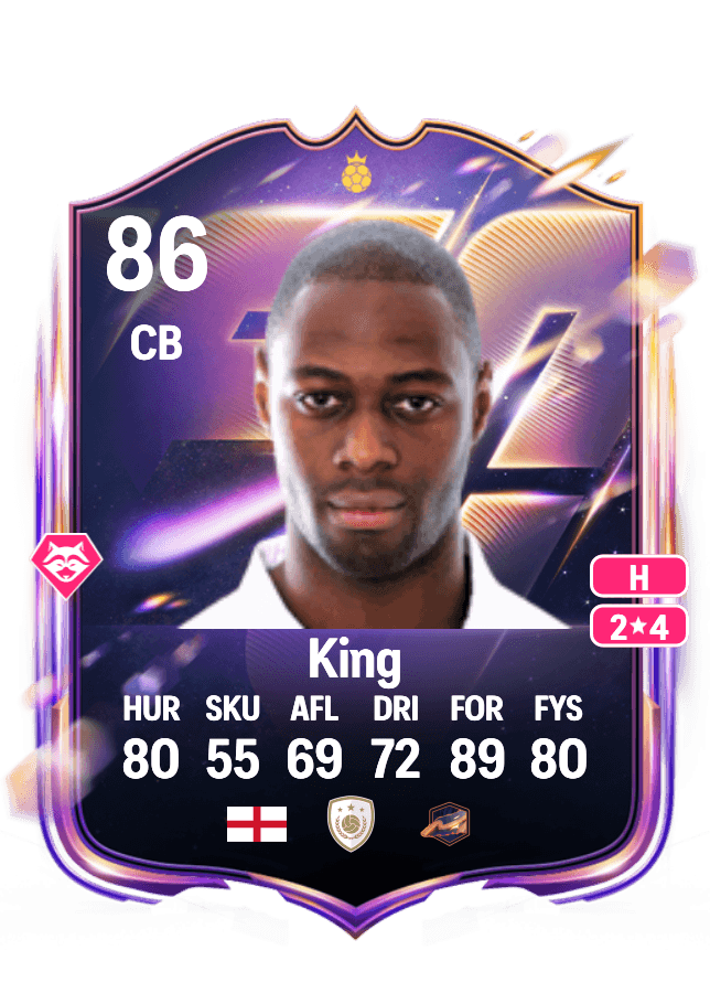 Ledley King card