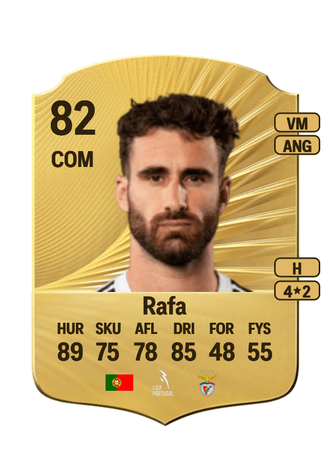 Rafa card