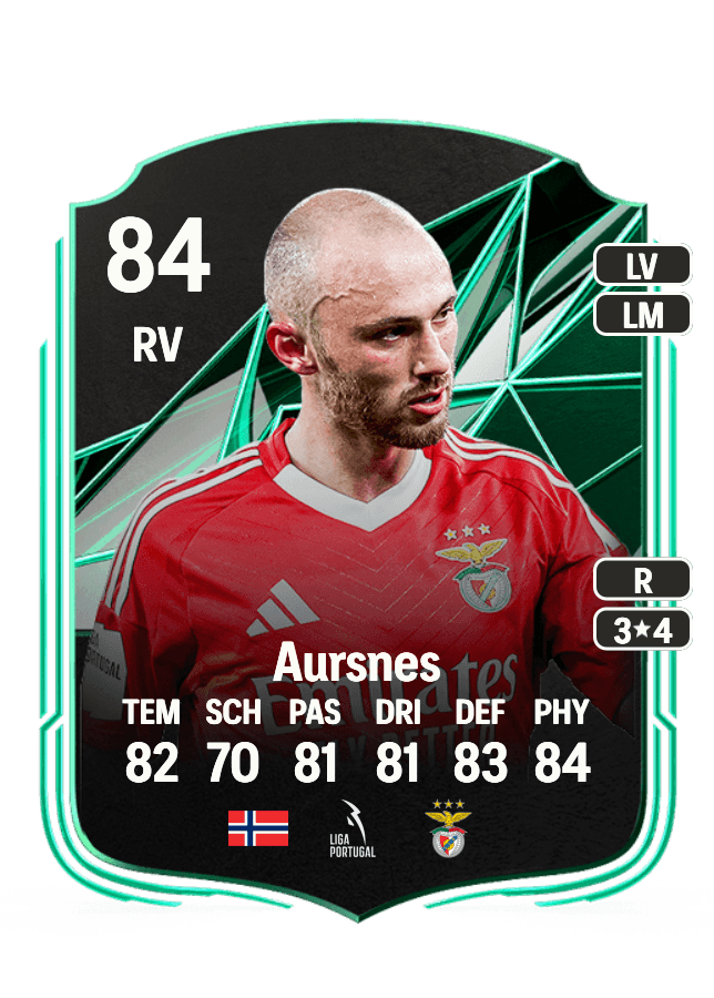 Fredrik Aursnes card