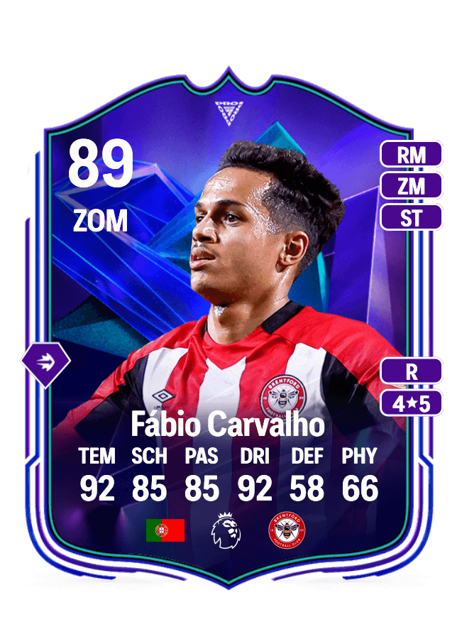 Fábio Carvalho card