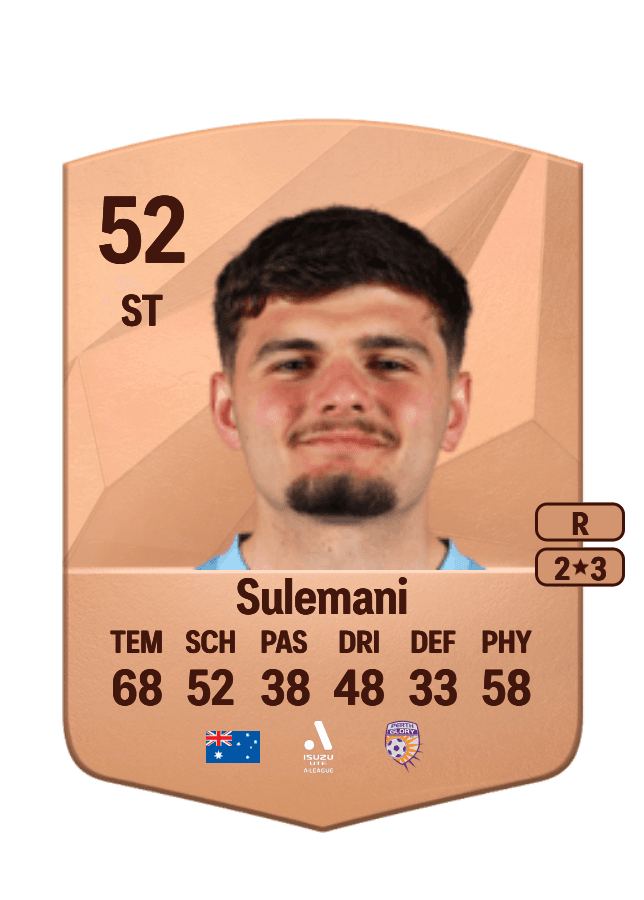 Arion Sulemani card