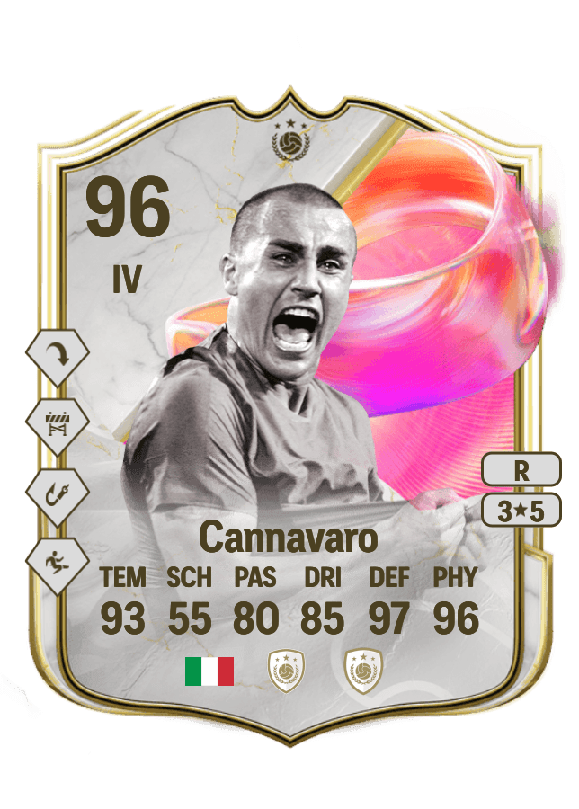 Fabio Cannavaro card