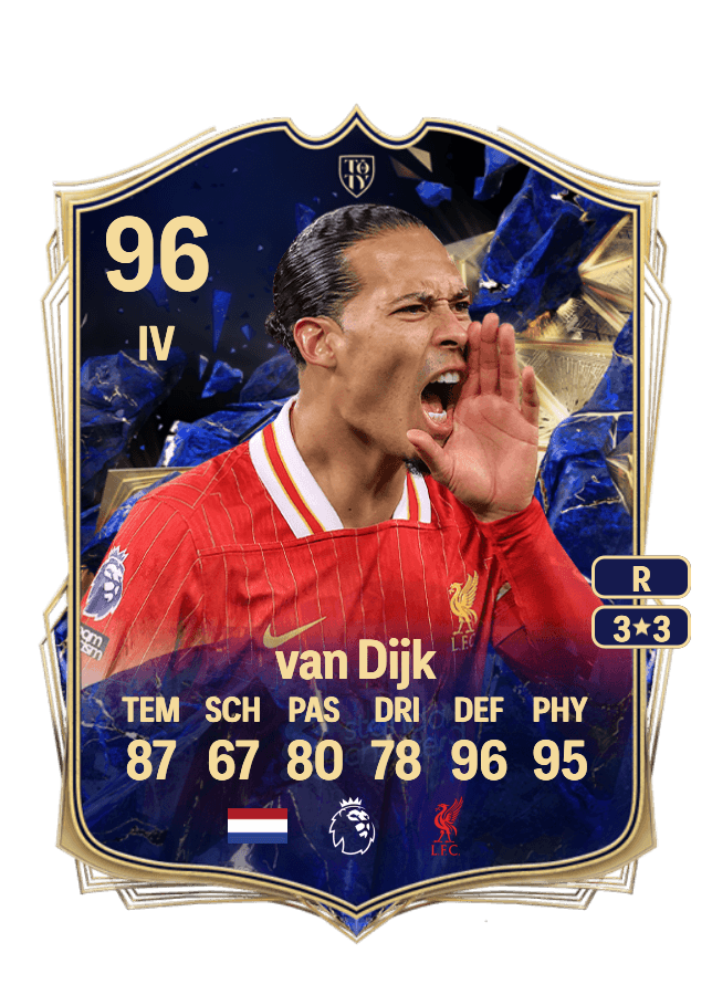 Virgil van Dijk card
