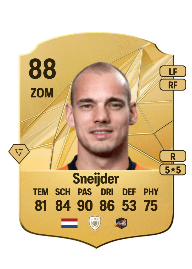 Wesley Sneijder card