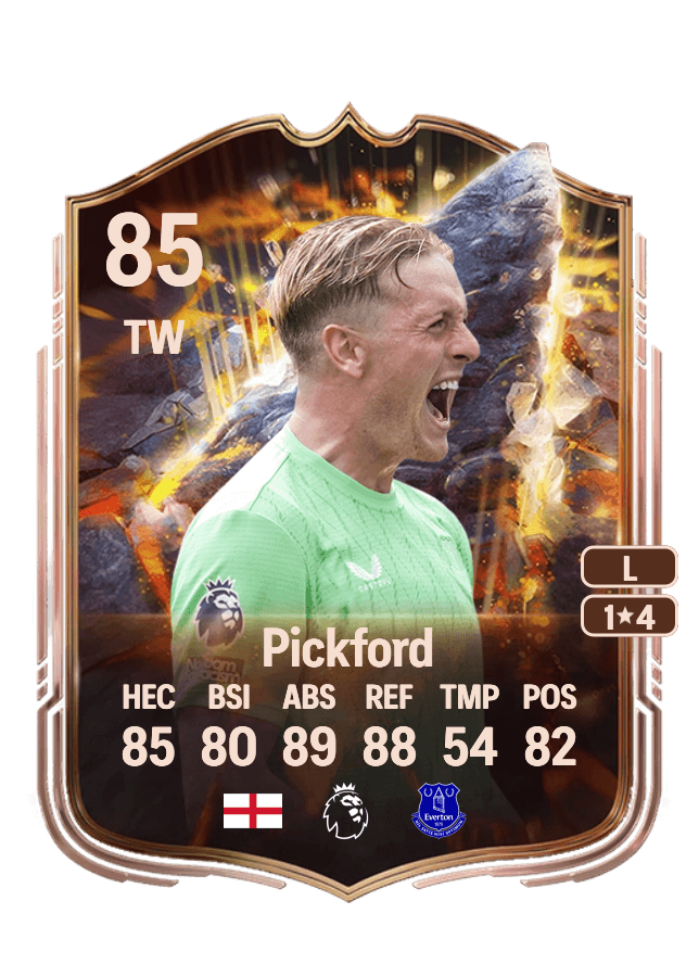 Jordan Pickford card