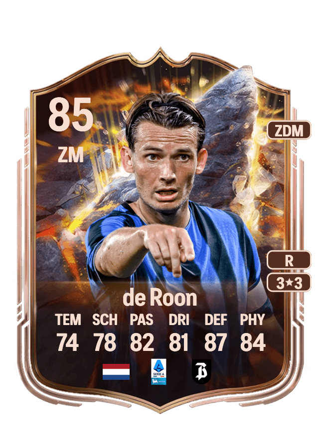 Marten de Roon card