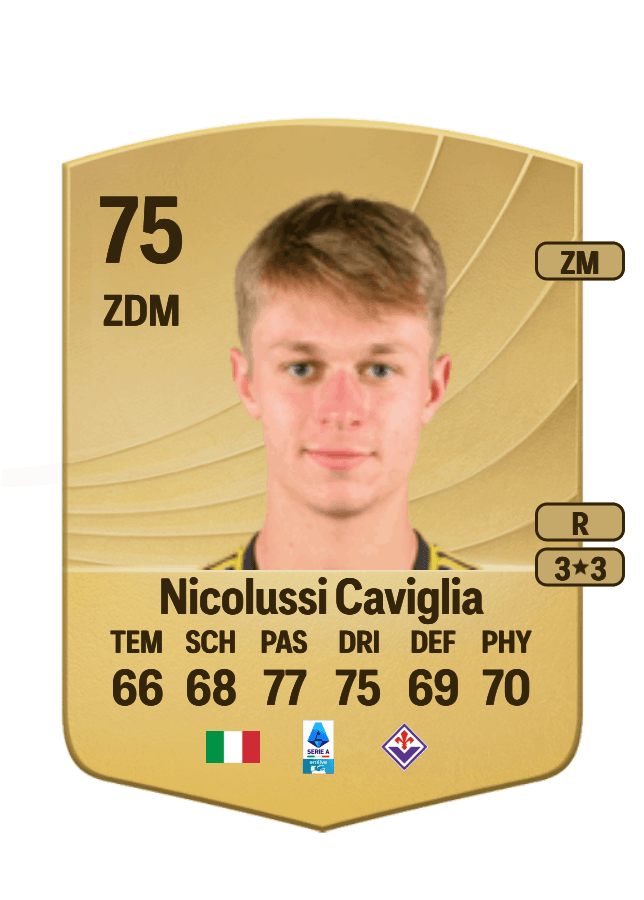Hans Nicolussi Caviglia card