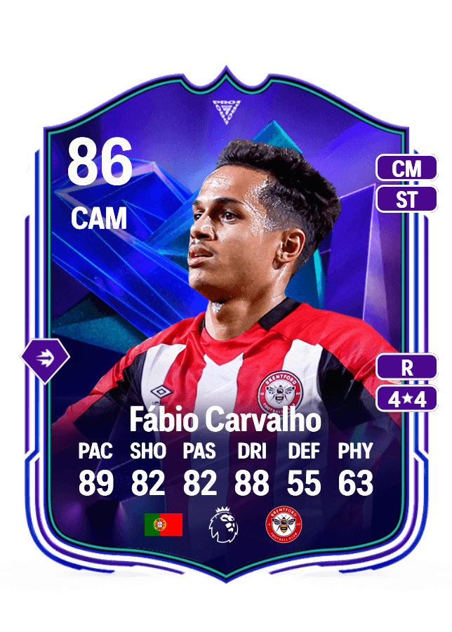 Fábio Carvalho card