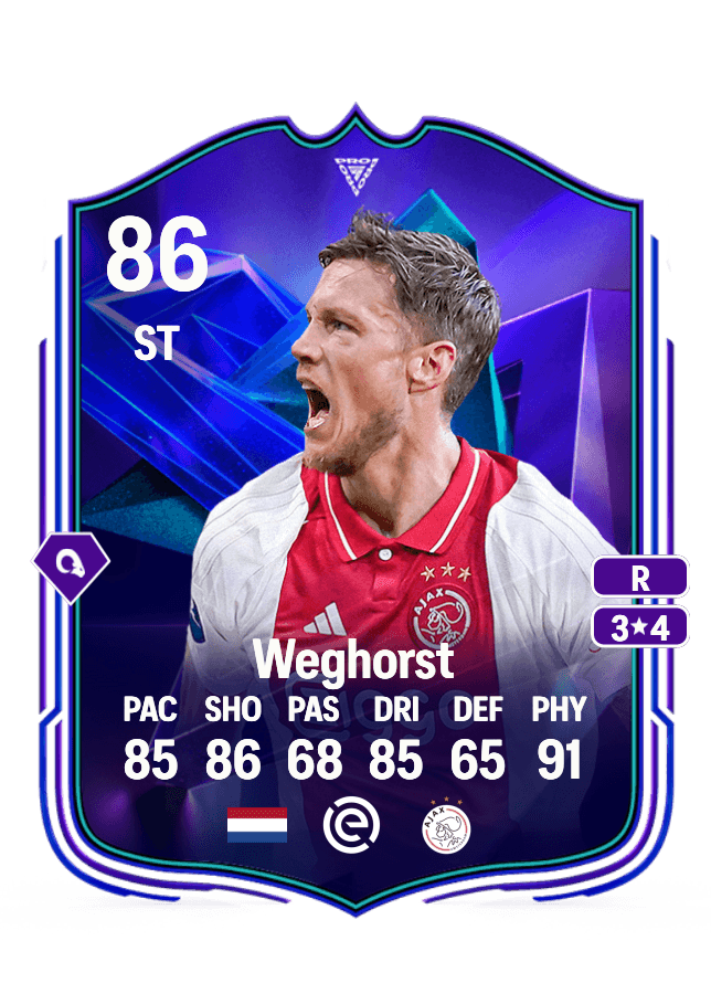 Wout Weghorst card