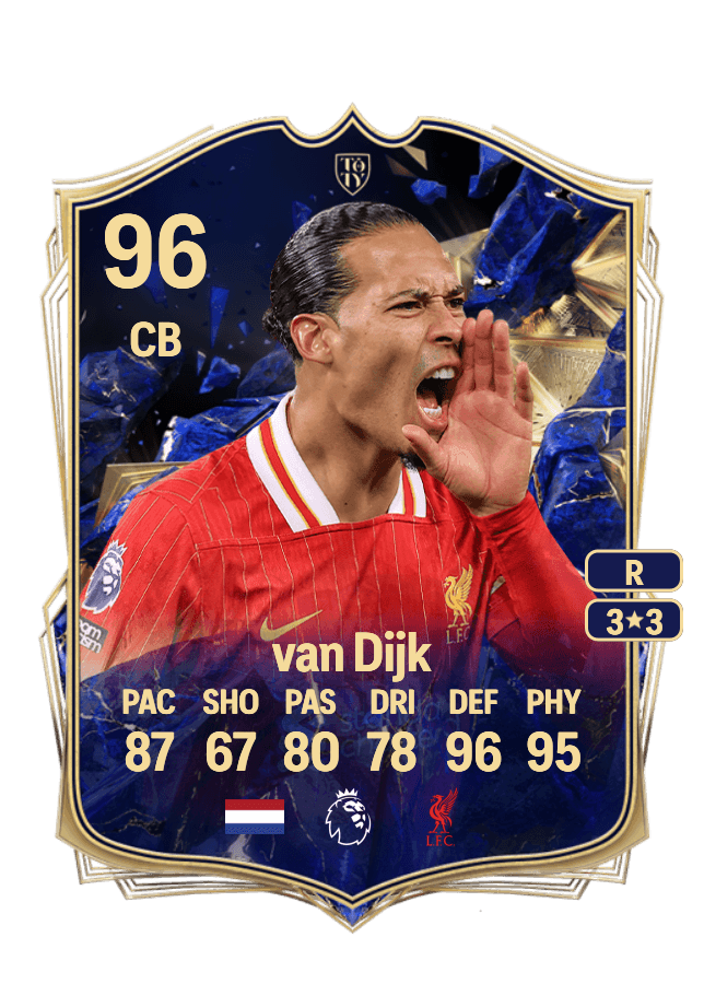 Virgil van Dijk card