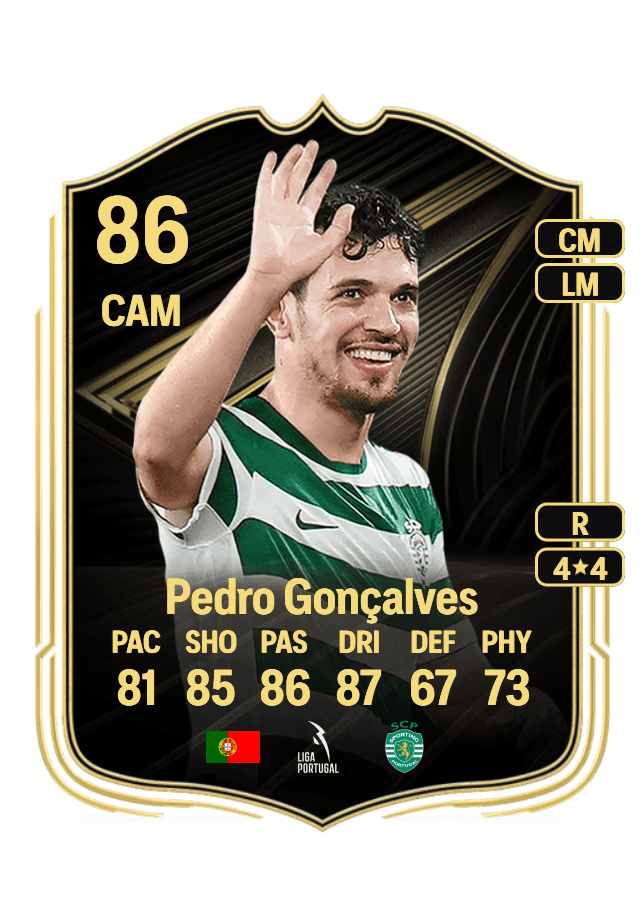 Pedro Gonçalves card
