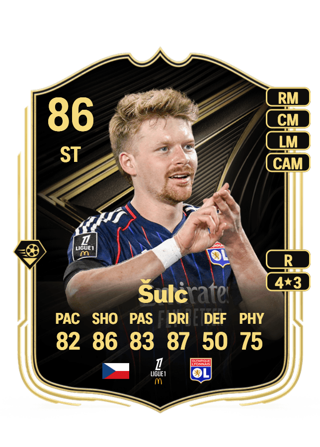 Pavel Šulc card