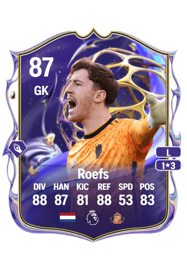 Robin Roefs card
