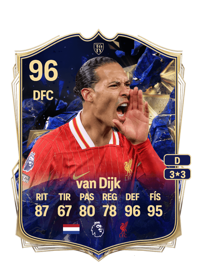 Virgil van Dijk card