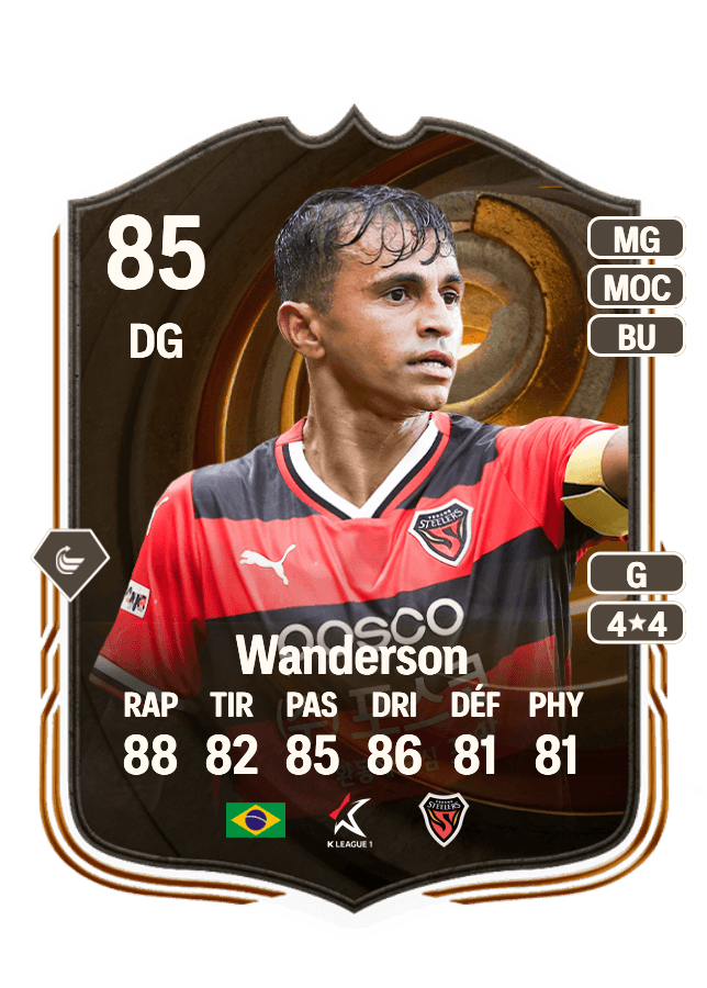Wanderson card