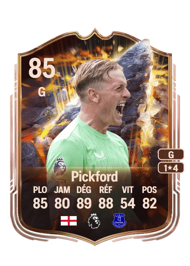Jordan Pickford card
