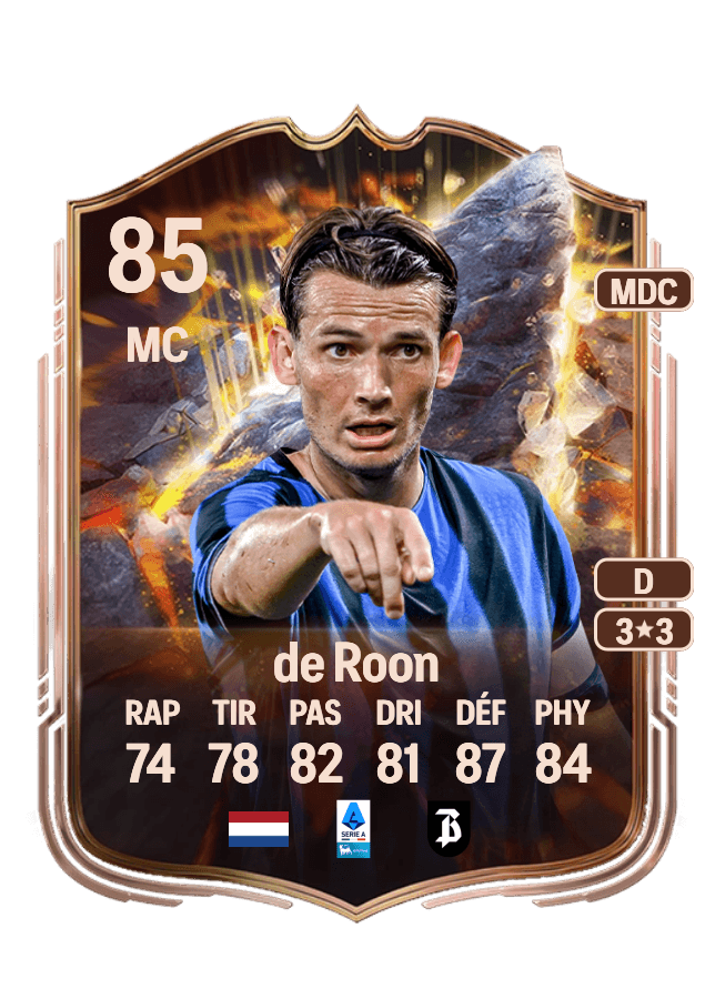 Marten de Roon card